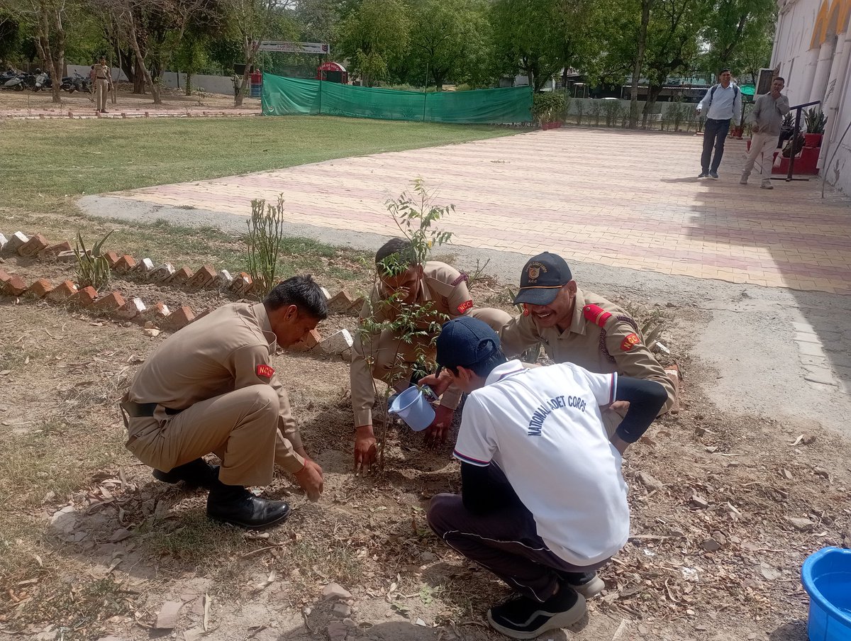 NccDei's tweet photo. NCC cadets of DEI Beat the heat and took part in the drive organised on the World Environment. Day, 2024 and planted saplings and trees to protect mother earth and environment  63 cadets along with their ANO planted saplings/trees in their respected residential areas. https://t.co/6naAVogs2L