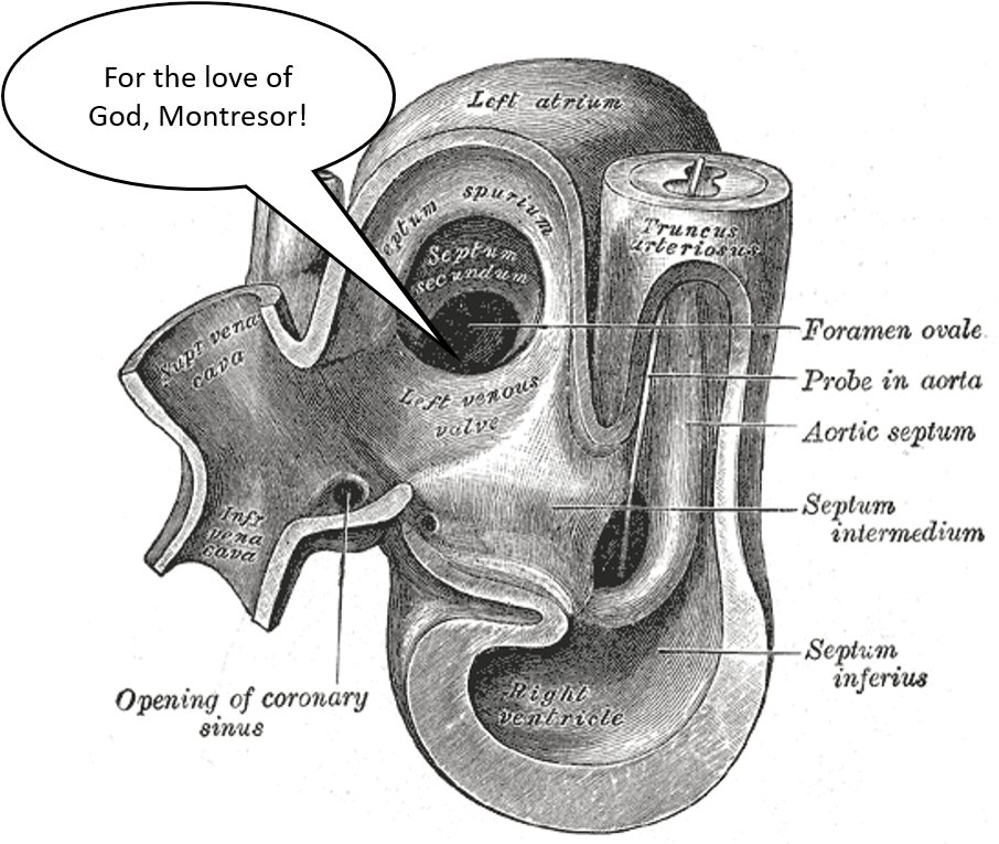 If this makes you chuckle, we can be friends. If it makes you groan, we can be best friends 😆 #anatomy #embryology #EdgarAllanPoe