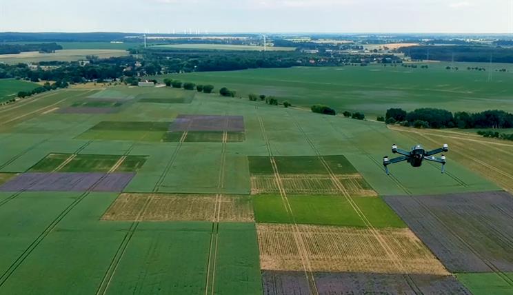 zalf_leibniz's tweet photo. Nicht verpassen: Feldtag rund um #Lupinen, #Soja, Platterbsen und andere Körnerleguminosen am 18. Juni 2024 in Müncheberg. 🫛👩‍🌾
Die Gesellschaft zur Förderung der Lupine (GFL), #LeguNet und das ZALF &amp; Landschaftslabor #patchCROP laden dazu ein.
Anmeldung: https://t.co/OnNfdarHEF https://t.co/Tp9P3qCjeU