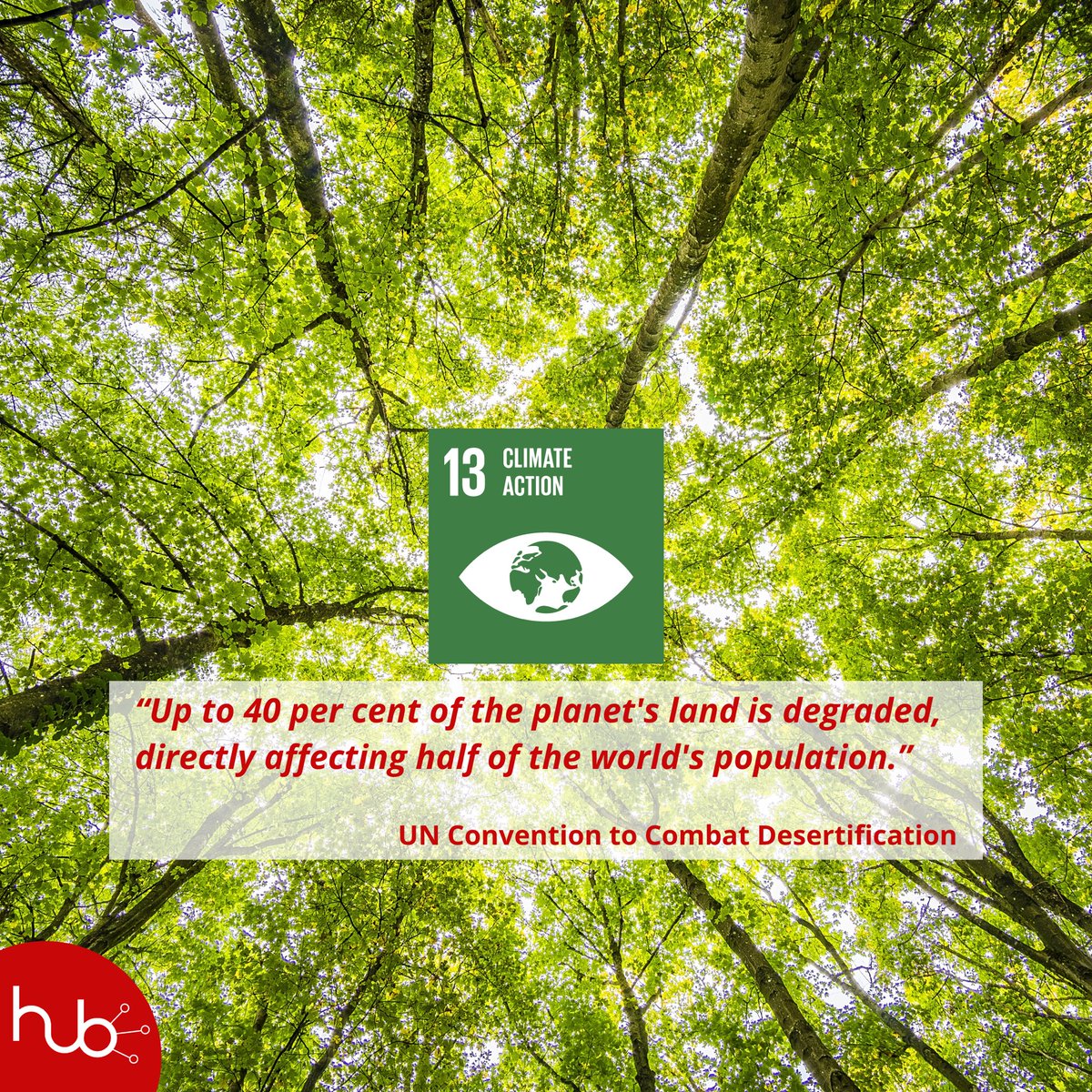 OsunHubs's tweet photo. “While climate change is a global issue, its effects hit hardest at the local level.” Says @sir_phillo, founder at @climatekakuma a civic engagement project that he started while he was a student at the Hubs for Connected Learning Initiatives’ Refugee Higher Education Access Program. 

Philip’s project prioritizes climate literacy – educating the youth and empowering the entire Kakuma refugee and host community, by fostering knowledge and action to build resilience and create a sustainable future.

The project was launched with support from @opensocietyuniv and the  @bardcce through the @OsunHubs
