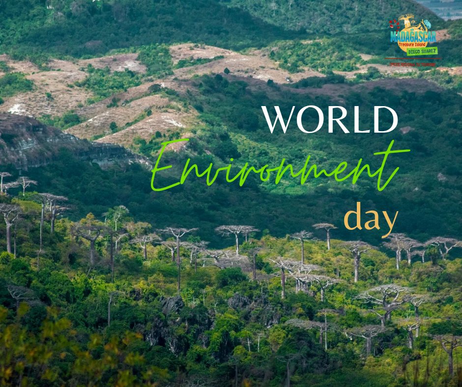 OfficeDiego's tweet photo. 💚 Let's celebrate world environment day and adopt responsible tourism.🌿🌿
#worldenvironmentday #protectourplanet #green #tourism #actforclimate #sustainable https://t.co/sy8r8ZAoAs