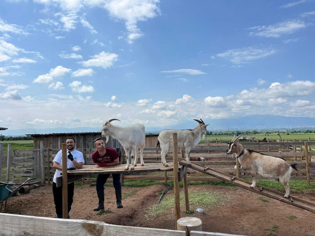 PROS_Inc's tweet photo. The @PROS_Inc Bulgaria team volunteered at the Horse Center in Voynegovtsi, caring for abandoned animals. PROS is dedicated to making an impact in the community, and this experience highlighted the difference we can make together. #LifeatPROS https://t.co/OxwmqWU65U