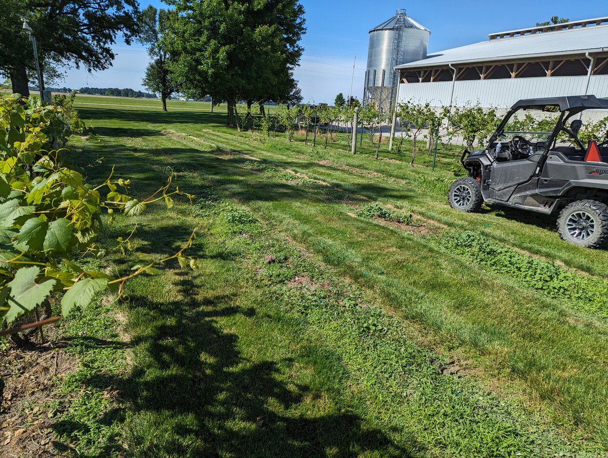 Matthew Elsass tweet media