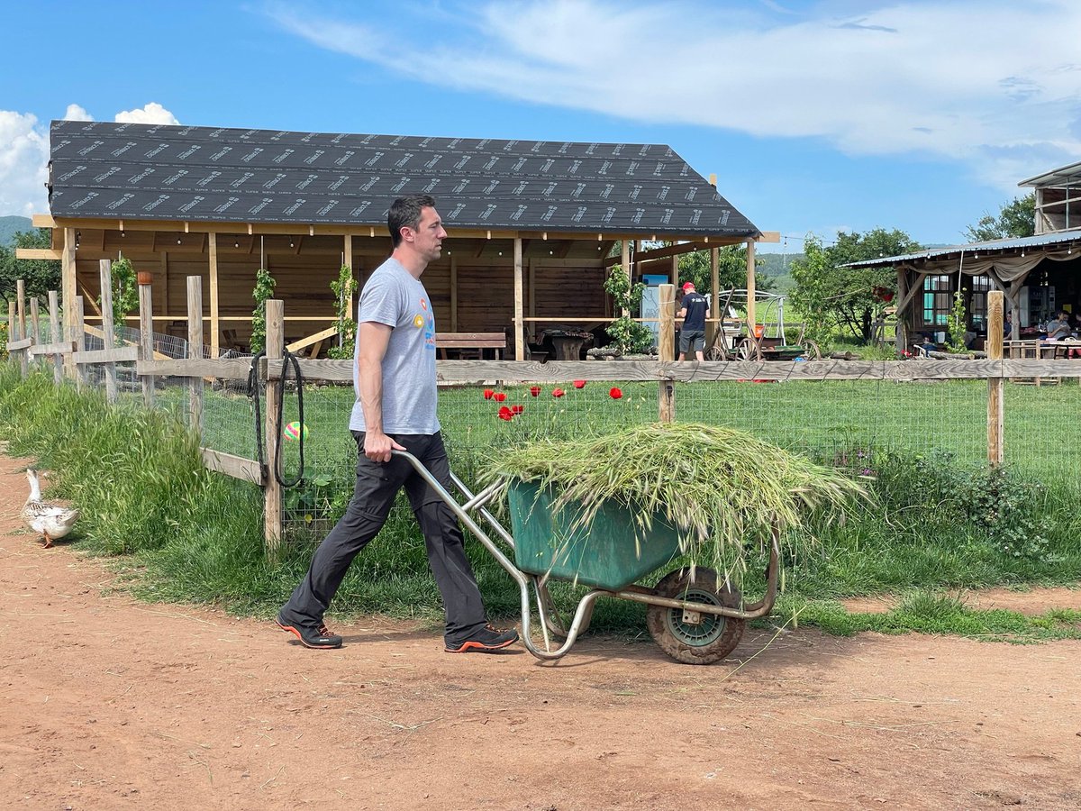 PROS_Inc's tweet photo. The @PROS_Inc Bulgaria team volunteered at the Horse Center in Voynegovtsi, caring for abandoned animals. PROS is dedicated to making an impact in the community, and this experience highlighted the difference we can make together. #LifeatPROS https://t.co/OxwmqWU65U
