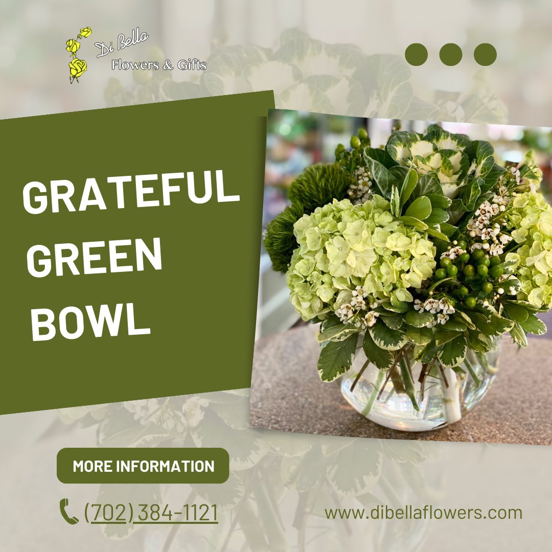 DiBellaFlowers's tweet photo. Experience the refreshing beauty of our Grateful Green Bowl, featuring a lush mix of fresh green shades that bring a touch of nature's elegance to any space! 🌿✨ https://t.co/WOlEuB2CAC

#GratefulGreenBowl #GreeneryGoals #DiBellaFlowersandGifts #NatureInspired #FreshAndGreen https://t.co/JmkBzPyyq0