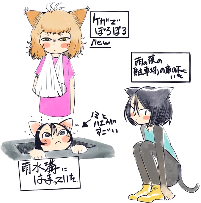よく猫なんて落ちてないって言われますが、私の場合何故か高確率でピンチの猫にぶつかります、、、ひょっとして猫のタタリ?? 