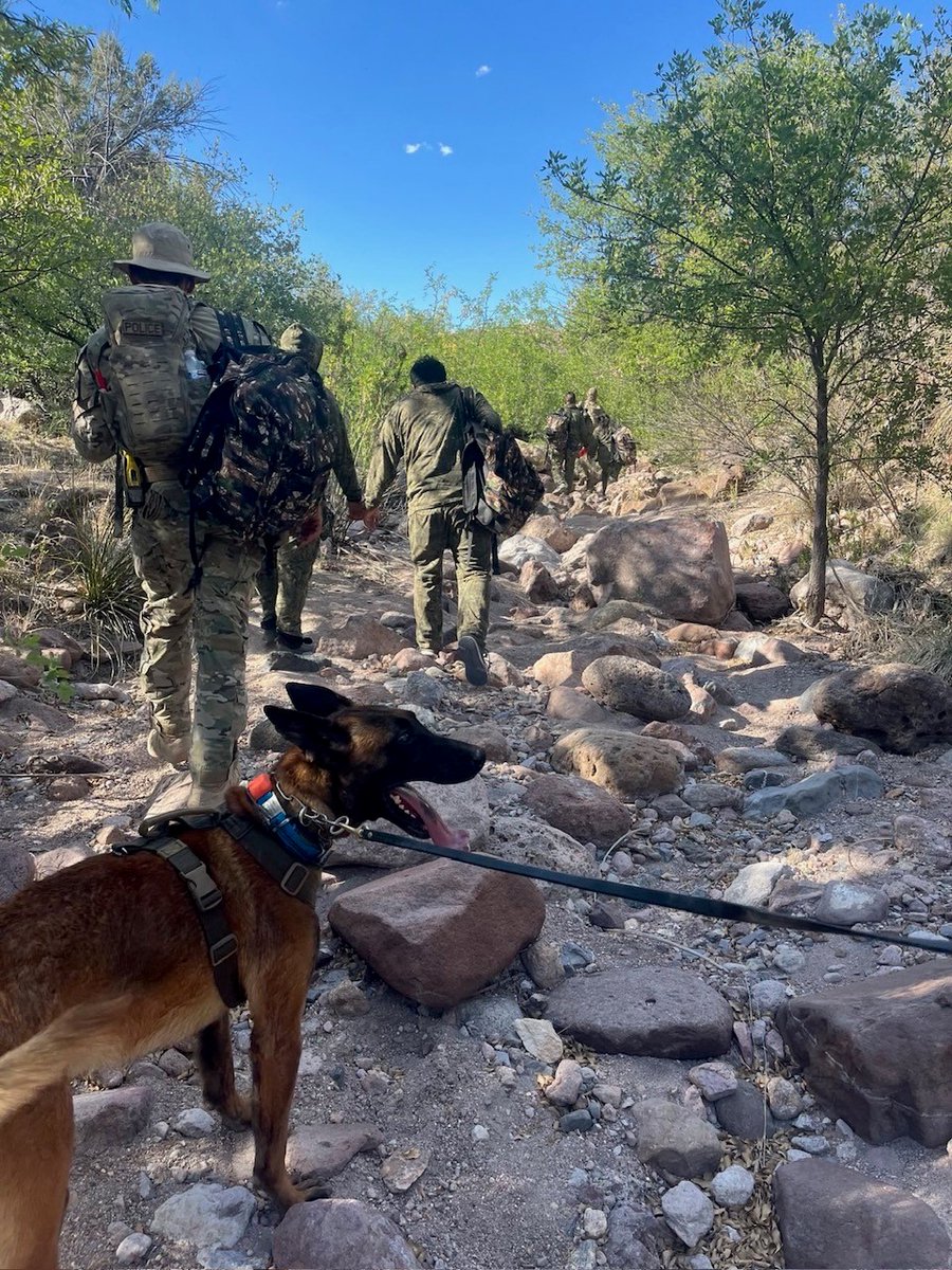 USBPChiefTCA's tweet photo. #WorkingDogWednesday
.
Agents assigned to the Tucson Sector Mobile Response Team working along with #K9Support apprehended a group of undocumented migrants evading detection in Baker Canyon near Douglas, AZ. Outstanding work! https://t.co/Uq3DQ65gjd