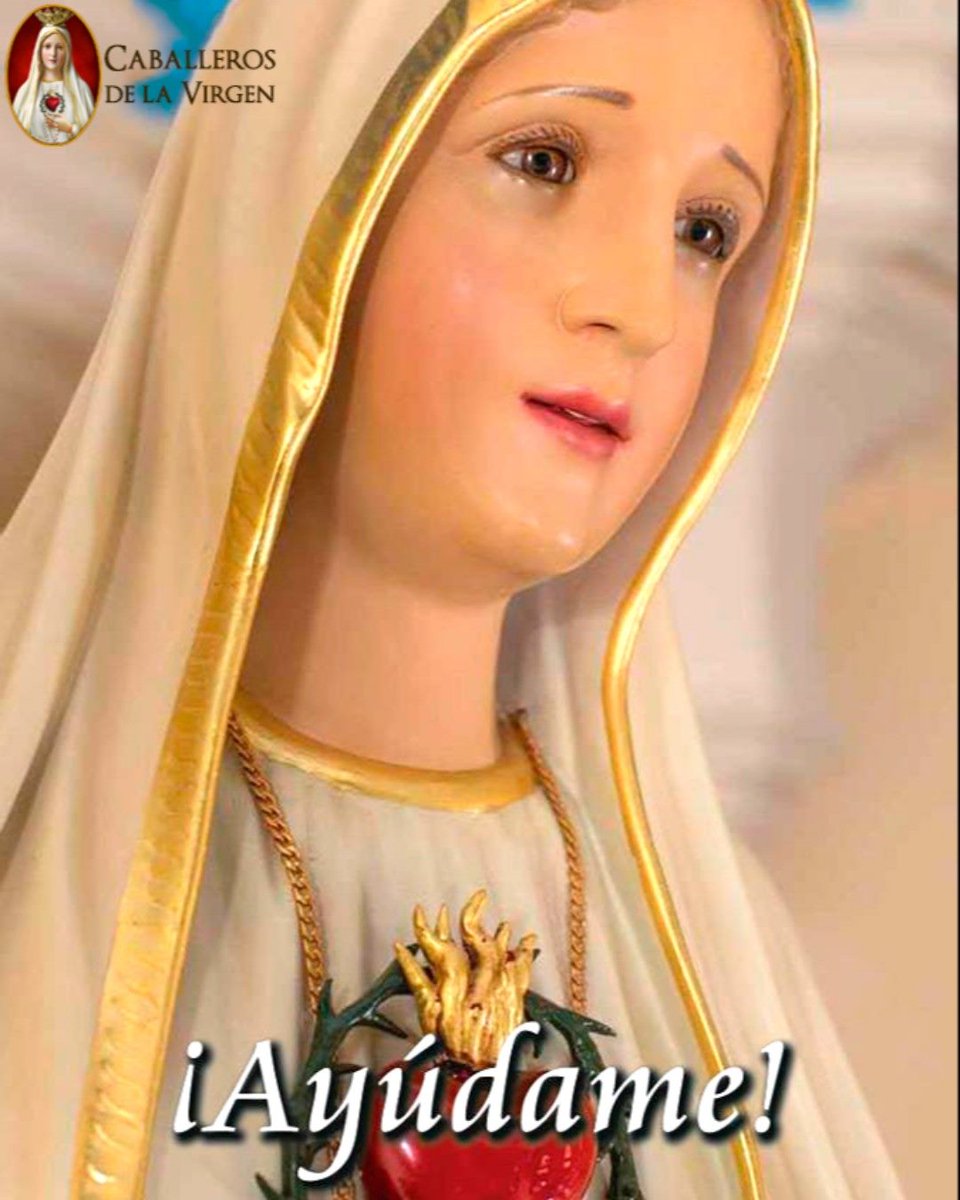 Cab_Virgen's tweet photo. Vamos a pedirle a Nuestra Señora que se ocupe de nosotros y que haga por nosotros lo que no somos capaces de hacer. Amén! https://t.co/mSmxxH0sUW