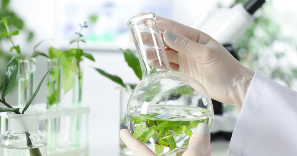 Plumrodi's tweet photo. Change is on the horizon for the UK chemical industry! 🇬🇧 DEFRA has sparked a pivotal conversation with their latest UK REACH consultation. 
#ChemicalIndustry #UKREACH #RegulationReform https://t.co/Zu0lNwABUS https://t.co/mw66UHjTeE