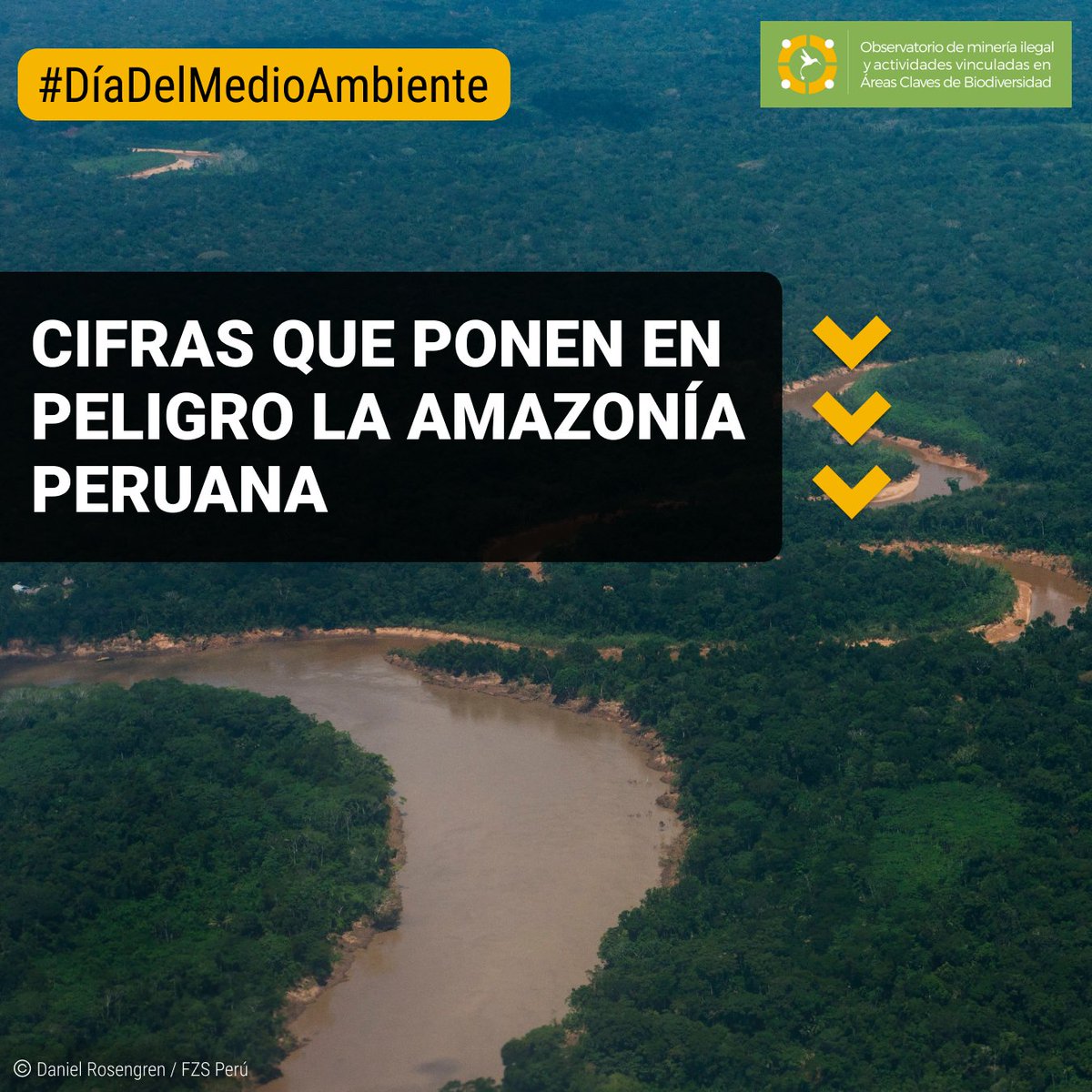 Observatoriomi's tweet photo. #DíaMundialDelMedioAmbiente | 🚨En este #hilo encontrarás algunos datos sobre la situación de la #Amazonía peruana. (1/5) https://t.co/bpe2uFVPsi