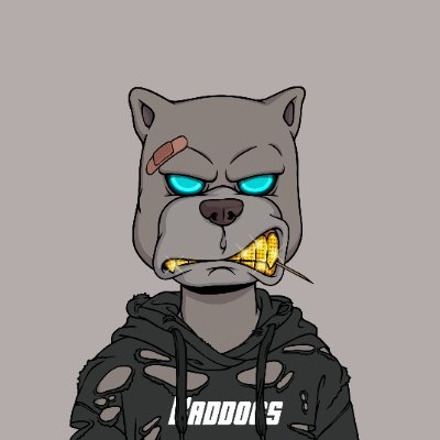 neptumer's tweet photo. "As BadDogs began its journey in February 2022, a twist in the tale unfolded. The original team stepped back, and a new pack of dedicated leaders emerged, ready to take the reins. This wasn't just a change in personnel; it was the birth of @BadDogsCompany!" https://t.co/n4JTLaCk5q