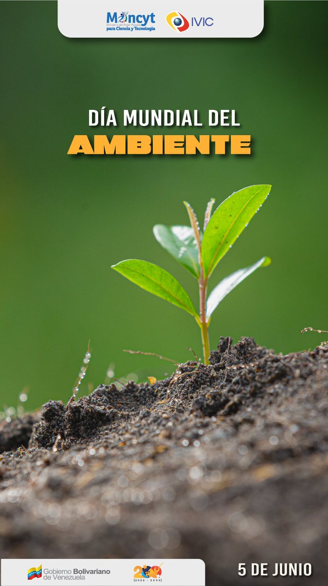 5 de junio: Día Mundial del Ambiente

 Cada 5 de junio, se promueve la importancia del  cuidado del ambiente.
 Este año  el lema es:
*Nuestras tierras, nuestro futuro. Somos la #GeneraciónRestauración