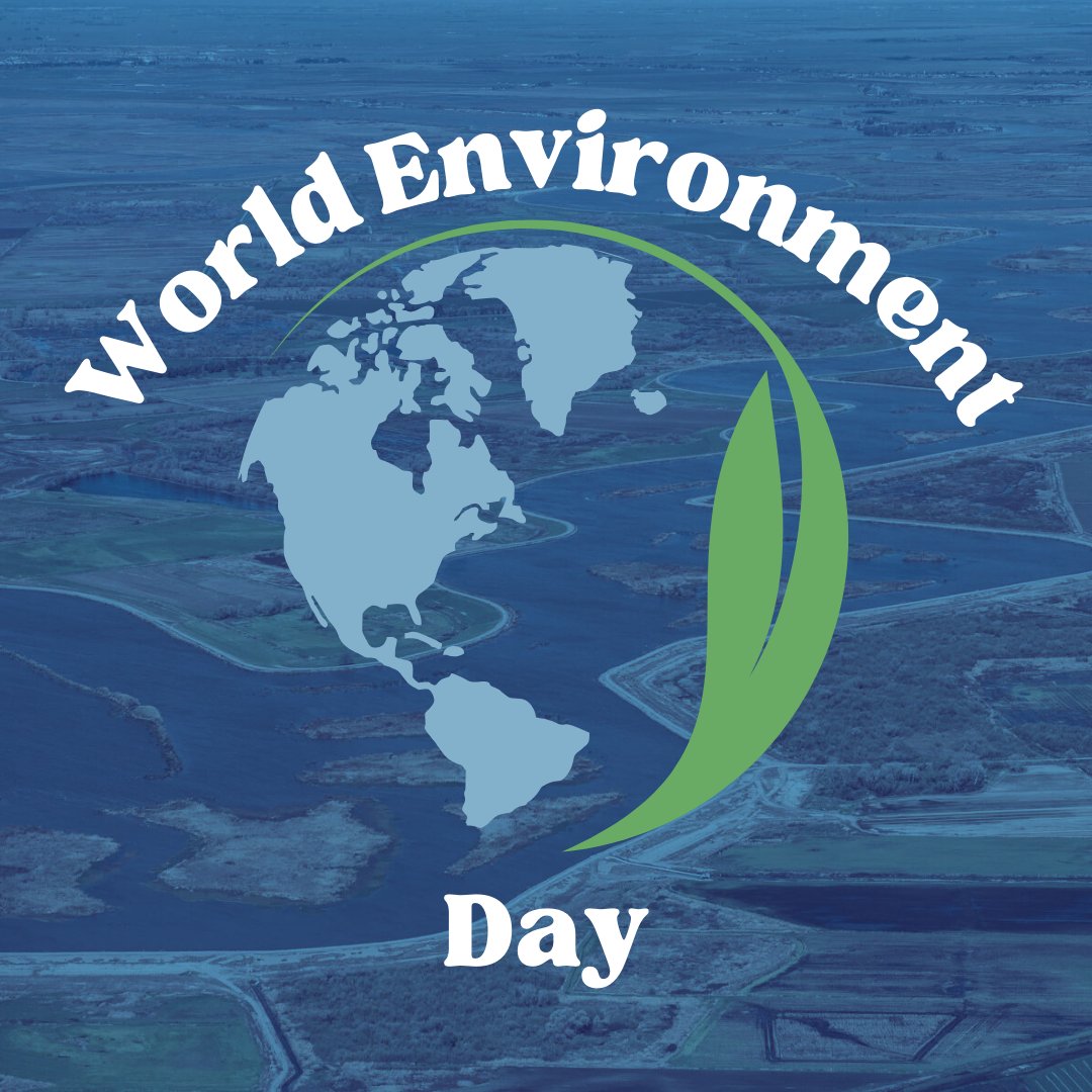 RestoretheDelta's tweet photo. On #WorldEnvironmentDay and every day, we cherish the Bay-Delta estuary for its importance to Delta communities and wildlife. For a #ProDelta future and to protect the Bay-Delta estuary, we must have no voluntary agreements and no Delta tunnel! https://t.co/W17zp4aF6Z