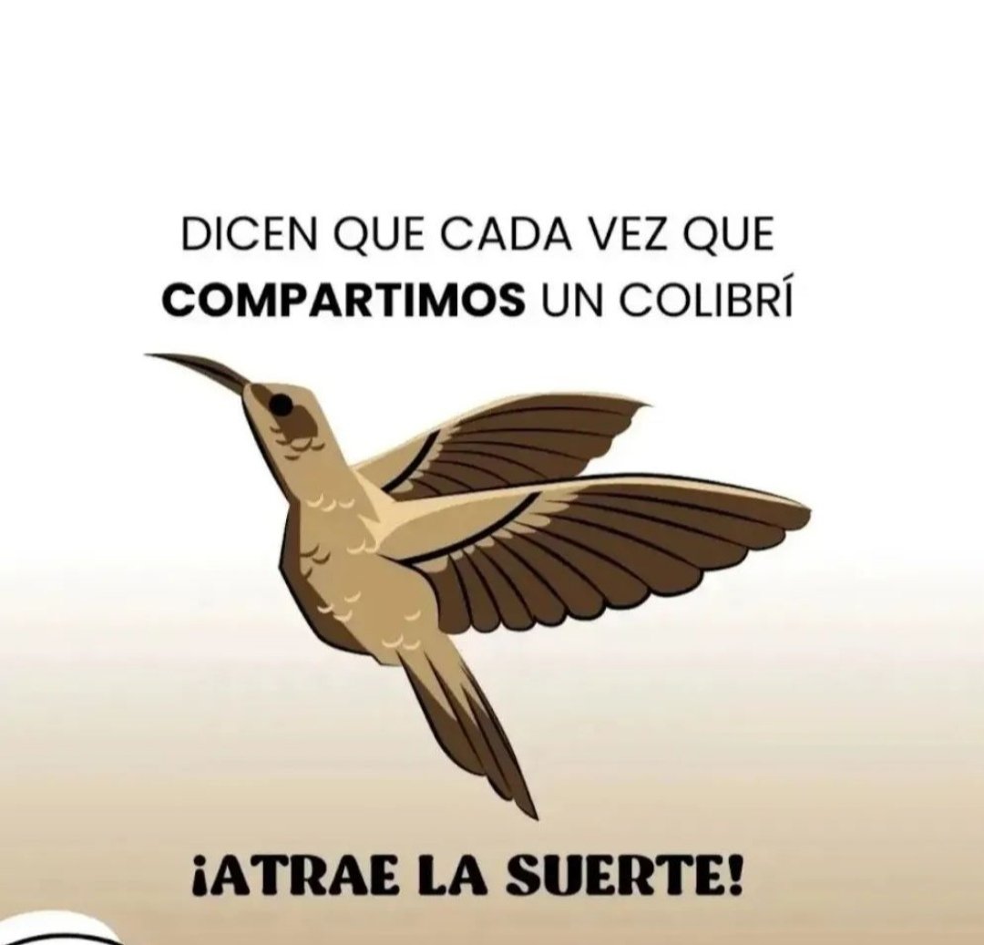 SharinTarot's tweet photo. 💜 COMPARTE ESTE COLIBRÍ PORQUÉ A TU VIDA SUERTE LLEGARÁ, ESCRIBE HECHO ESTÁ Y DECRETA QUE ASÍ SERÁ 🙏#brujas #brujeria #magia #magiaritualesmagicos #espiritualidad #Rituales #ritual #parati #love #amor #hechizos #prosperidad #brujas #brujeria #magiablanca #magia #ritualesmagicos https://t.co/t0gBF8Bpmj