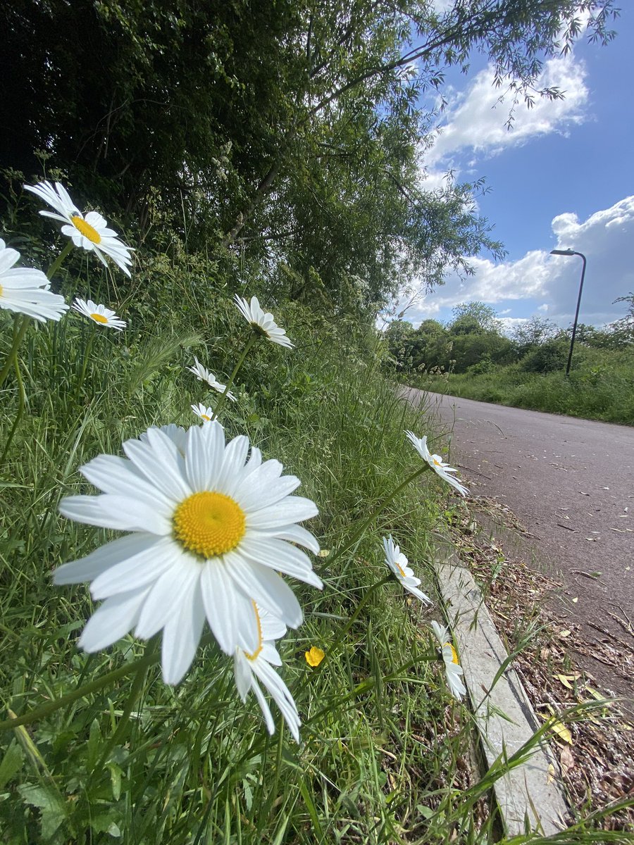 Kathy Syfret tweet media