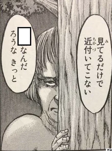 ROM専 