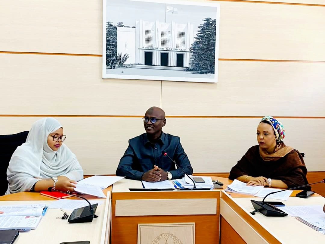 MahamoudMoustap's tweet photo. J'ai pris part à la Réunion de la Comm pour le Dvlpt Social élargie aux mbres de la Comm des Lois.

L'assise avait pour ordre du jour l'examen du PdL portant sur la Stratégie Nationale de Protection Sociale Non Contributive pour le renforcement du Capital Humain 23-27 de Djibouti https://t.co/omed97xutw