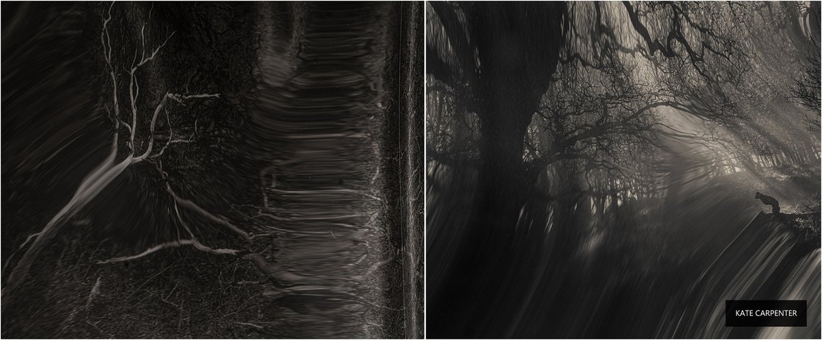 LoosenArt's tweet photo. Photos by Kate Carpenter, "On Memory, Forgetting and All the Damn Rest of It", 2022
—
Extract from "Blurred Visions" │Works and Article 👉 https://t.co/NLjzc3P5L9 https://t.co/WnOjTY67mD