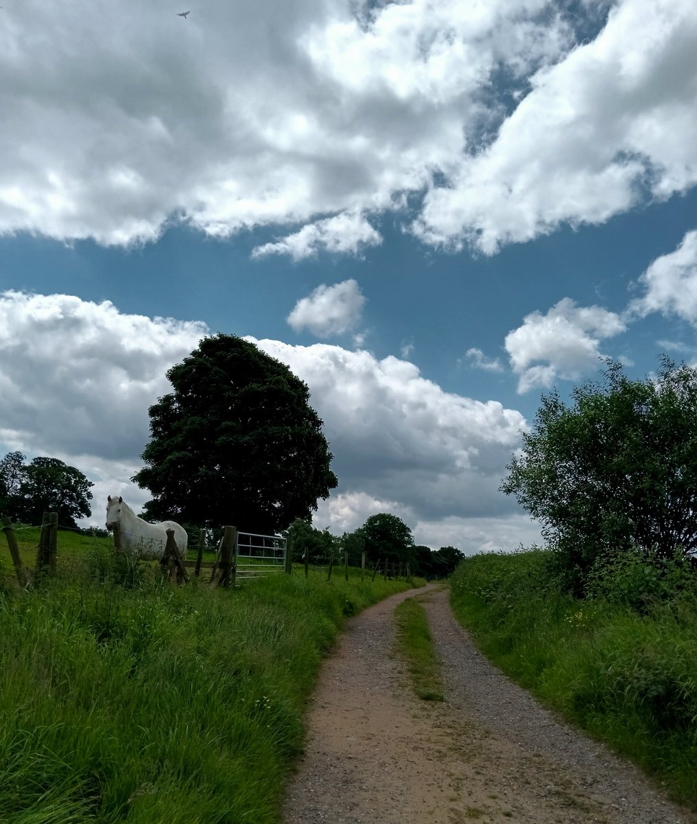 Tinalouisereads's tweet photo. A short walk this afternoon over Baggeridge for some much needed fresh air #baggeridge #baggeridgecountrypark #walk #summerwalks https://t.co/g6yBgsDsPT