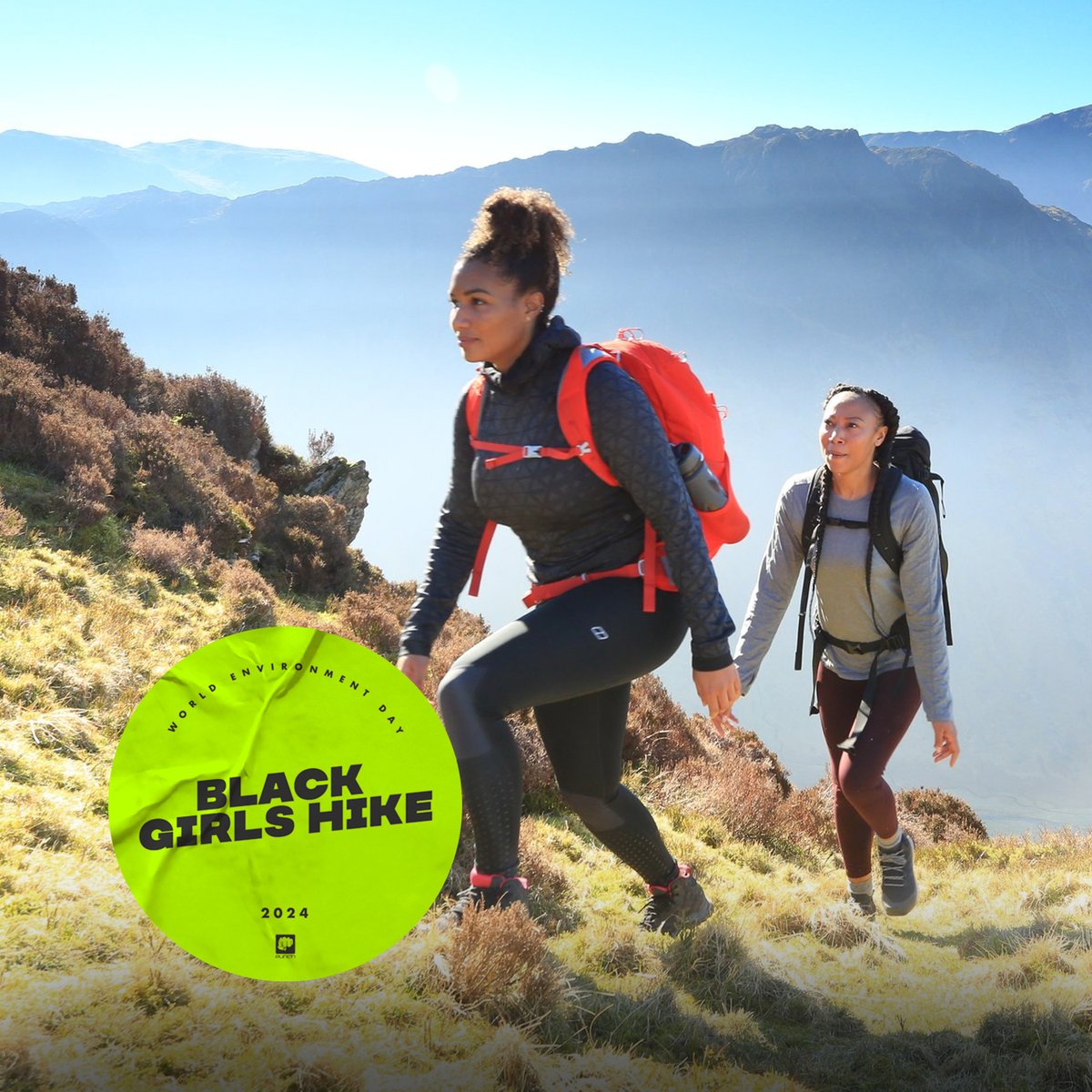 Punch Records tweet media