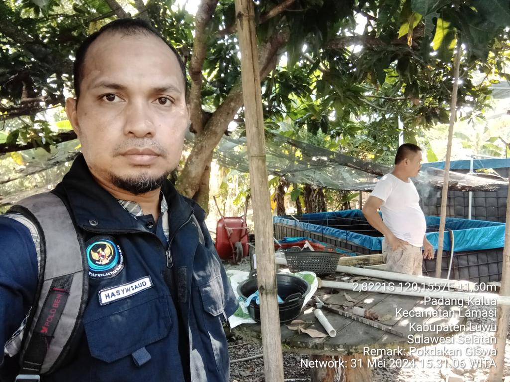 Hasyim_Saud's tweet photo. Jum'at, 31/05/2024. Hasyim Saud, Luhkan Kab. Luwu, Kegiatan Panen dan jual benih ikan Nila larasati 5000 ekor hasil pendederan, harga Rp 1000 per ekor, Pokdakan Giswa , Ds Wiwitan Kec. Lamasi
#GiatLuhkanSatminkalMaros
#luhlapor
#bpsdmkp
#BRPBAP3_Maros https://t.co/MtzTk6u8Jb