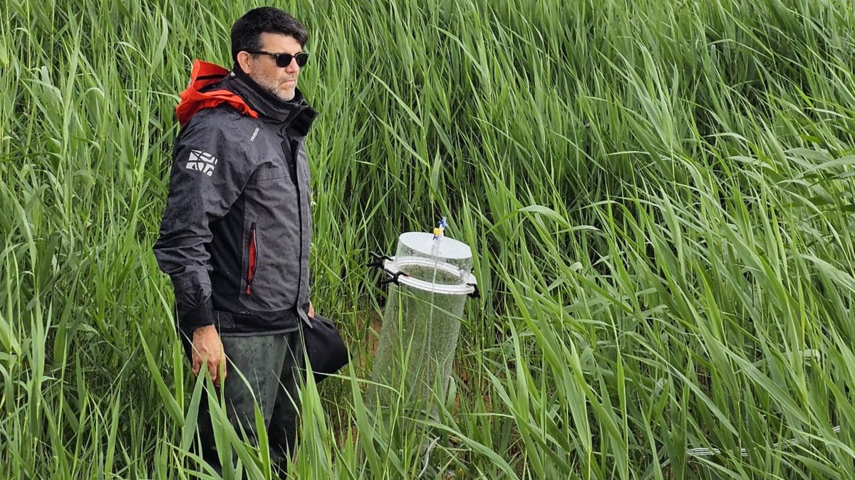 RESTORE4Cs's tweet photo. The 6️⃣th &amp; final stop of #RESTORE4Cs spring #samplingcampaign is #CuronianLagoon💧🦢

Stay tuned &amp; follow #R4Cs team towards the finalisation of the fieldwork for the project❕ @RESTORE4Cs last sampling campaign, which coincides with the #summer season, starts on 1️⃣7️⃣ June ☀🕶🐚 https://t.co/vMTfqgAuju
