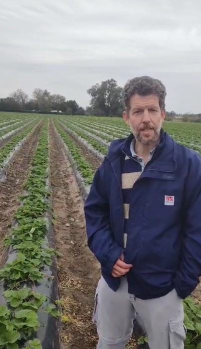 Join us at the 8th International Symposium on Biofumigation, Green Manures, and Cover Crops! Javier Echagüe from INTA San Pedro invites you to participate on technical tour in Zárate.