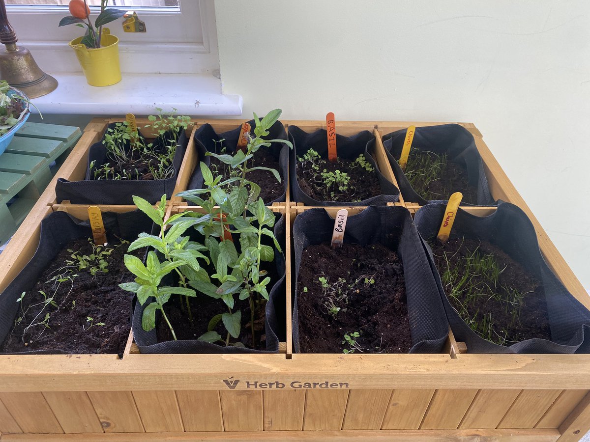 Love this herb garden made by the wonderful pupils at <a href="/MicklefieldPrep/">Micklefield School Reigate</a>