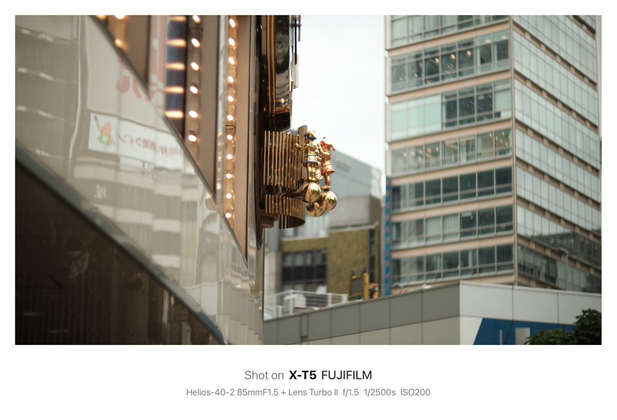 shosuga_info's tweet photo. ガード下とオフィス街の地下と紫陽花。

Camera→FUJIFILM X-T5
Lens→Helios-40-2 85mmF1.5
Adapter→Lens Turbo Ⅱ
Film Simulation→Kodak Gold 200？

#helios40 #lensturbo2 #ロシアンレンズ #kodakgold200 #filmsmulation #有楽町 #fujifilm #xt5 #オールドレンズ #oldlens #photography https://t.co/ddu7Vze1U0