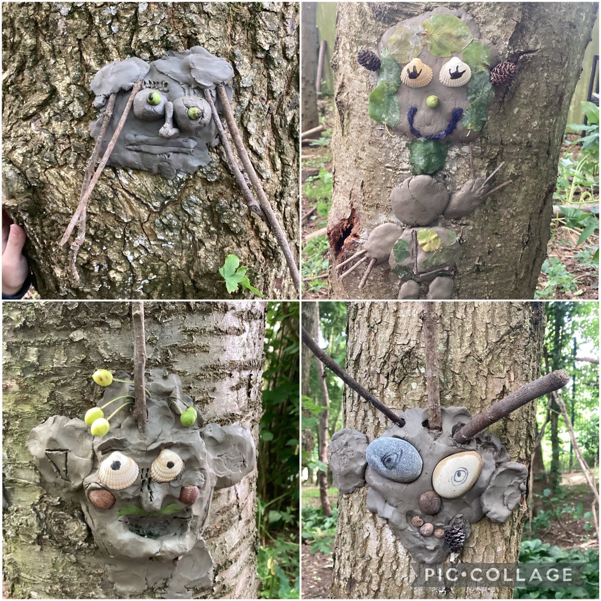 OWPS_forestschool tweet media