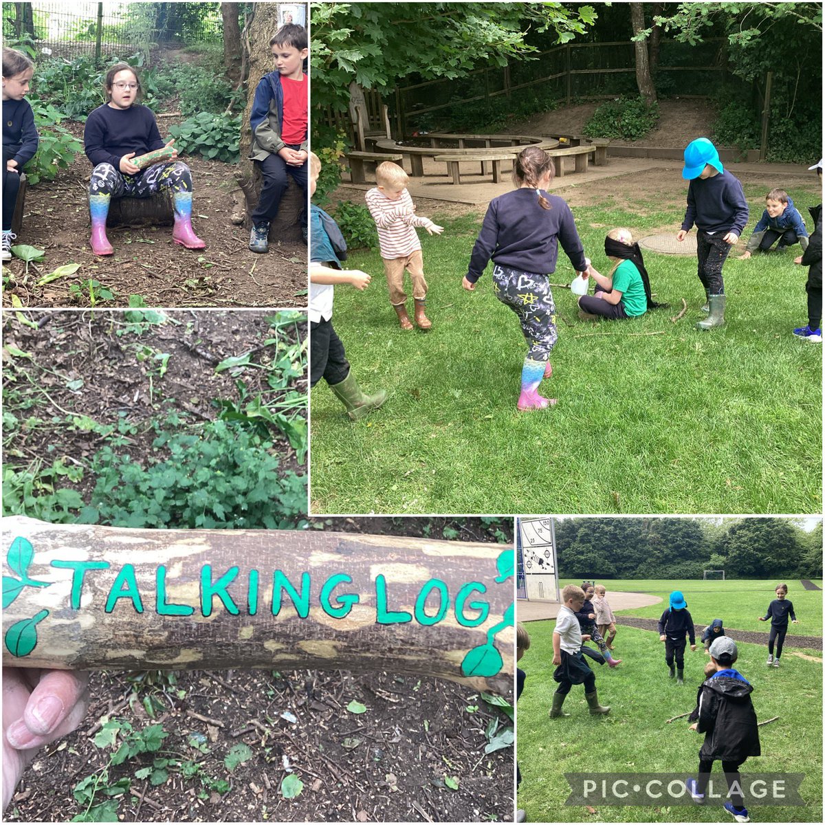 OWPS_forestschool tweet media