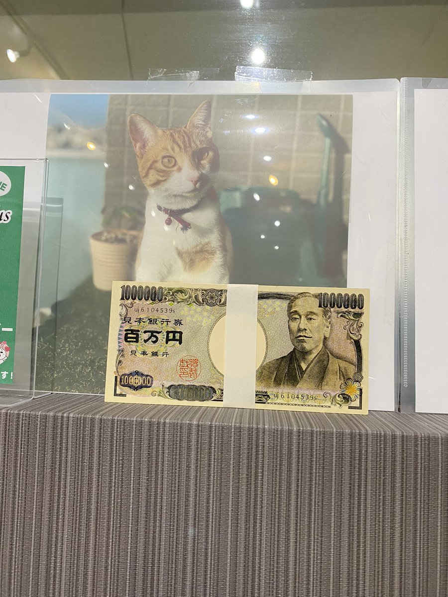 pilatesplus311's tweet photo. 友達とビジネスのことで
いっぱい話した。
前に進めないのは、会社員してるから。
でも、辞めるのは不安。
私はホンモノ。

実力がない人でも、売れる人がいるし
知識や力があっても売れない人もいる。
どちらにしても動かないと始まらない。 https://t.co/7qqqgXl4Db