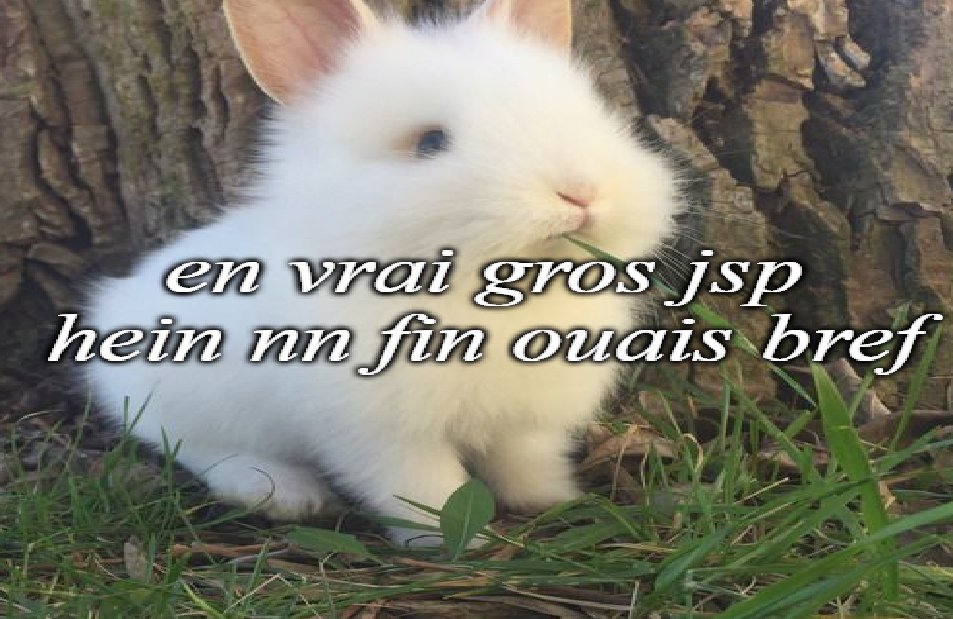 tobi 🔻 (@tobismileychat) on Twitter photo 