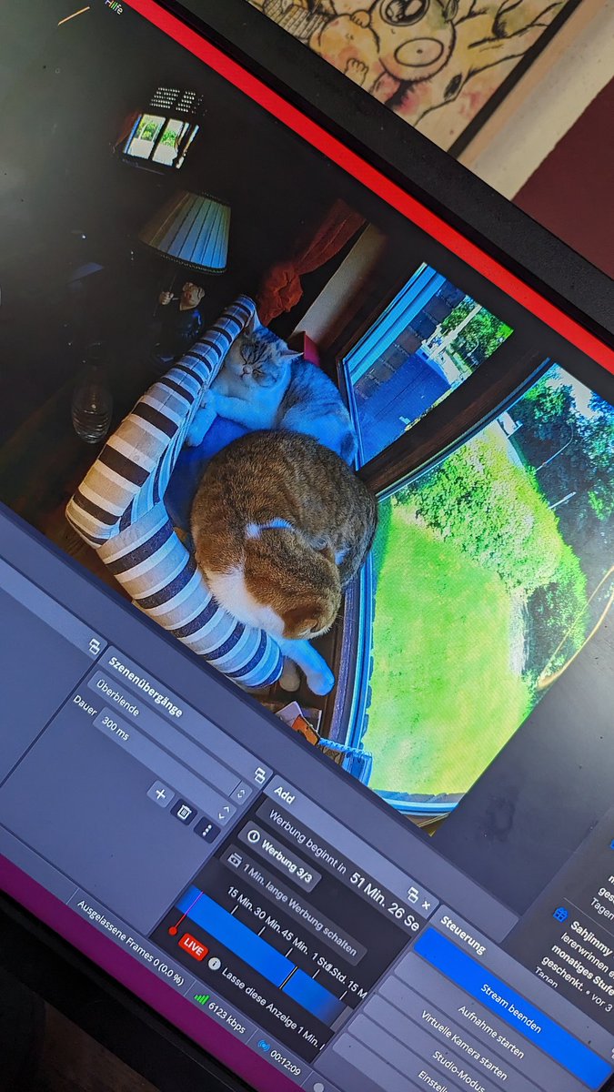 Endlich Mal live mit gescheitem content 🥸
twitch.tv/tiibell_art
