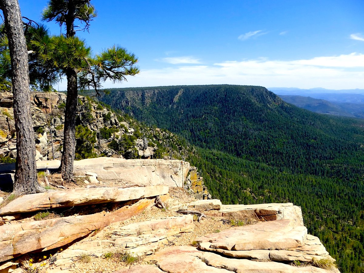 Roger Naylor tweet media