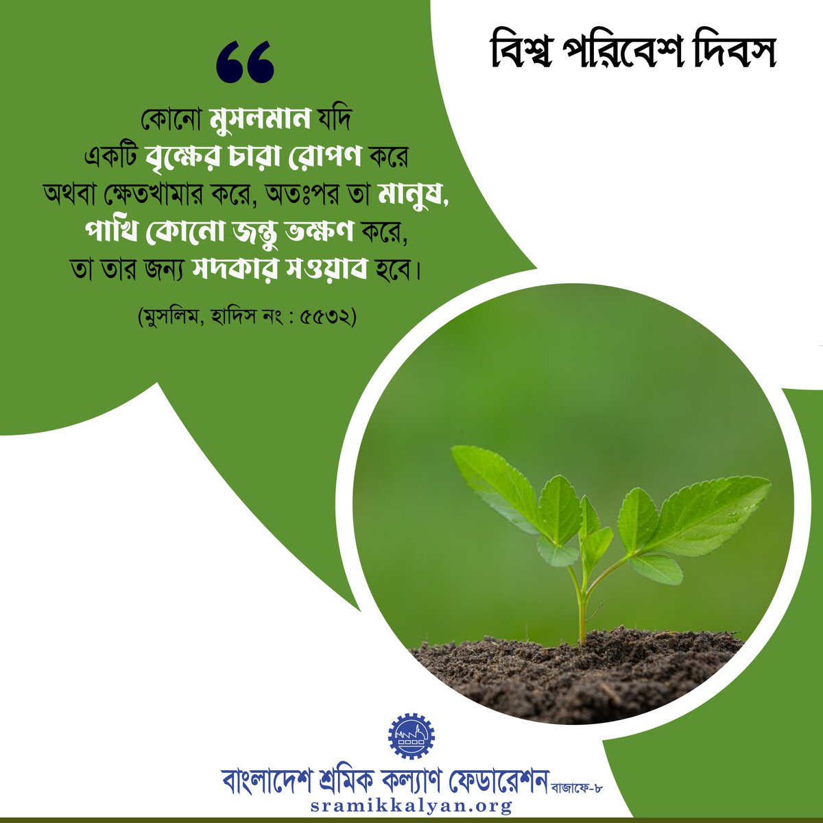 sramikkalyan's tweet photo. ‘কোনো মুসলমান যদি একটি বৃক্ষের চারা রোপণ করে অথবা ক্ষেতখামার করে, অতঃপর তা মানুষ, পাখি কোনো জন্তু ভক্ষণ করে, তা তার জন্য সদকার সওয়াব হবে।’ (মুসলিম, হাদিস নং : ৫৫৩২)

#Hadith
#worldenvironmentday
#Sramikkalyanbd https://t.co/5GFTMt02nA