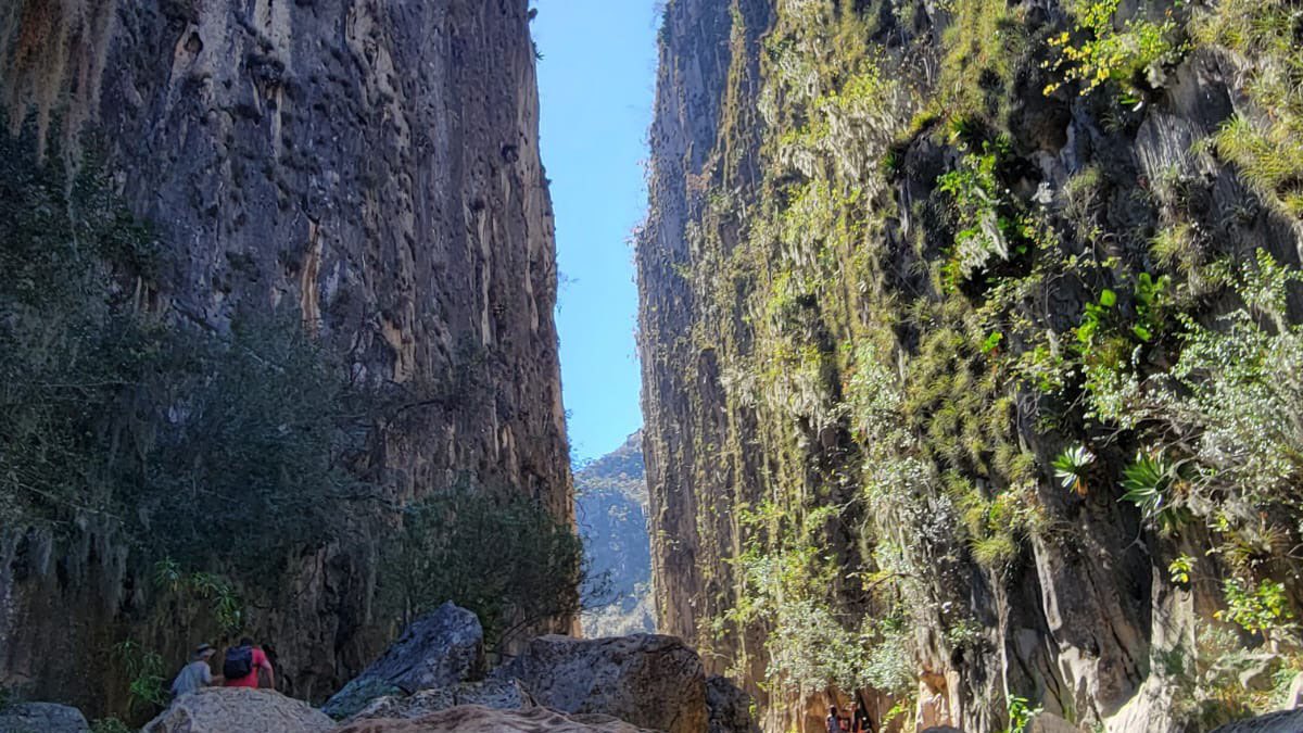ComSoc_GobOax's tweet photo. Exhortan a preservar el patrimonio natural de las ocho regiones de #Oaxaca
📲 Más Información: https://t.co/stWnRoYGNV https://t.co/Hbuu8ziqWY