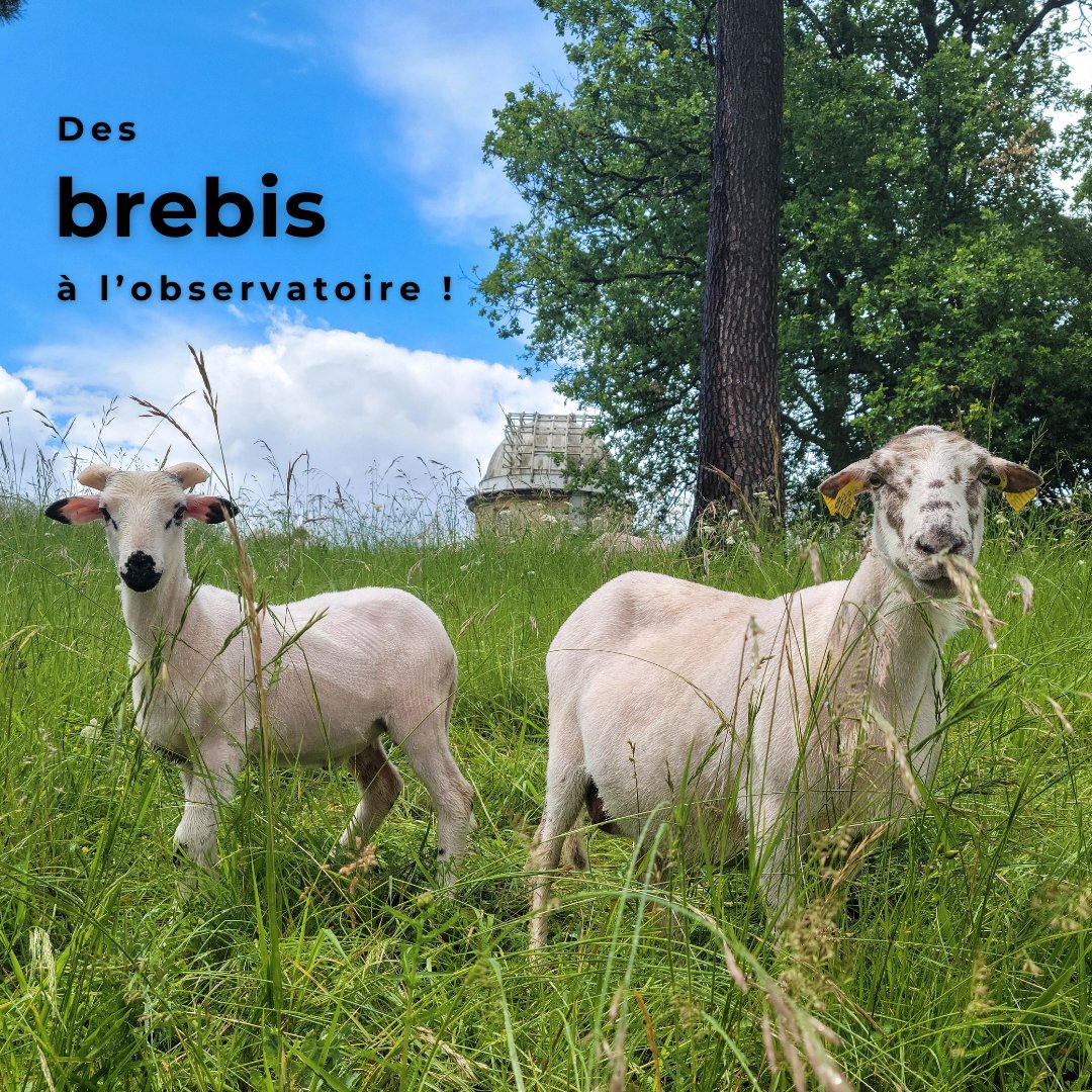 Anne Lassègues @alassegues.bsky.social tweet media