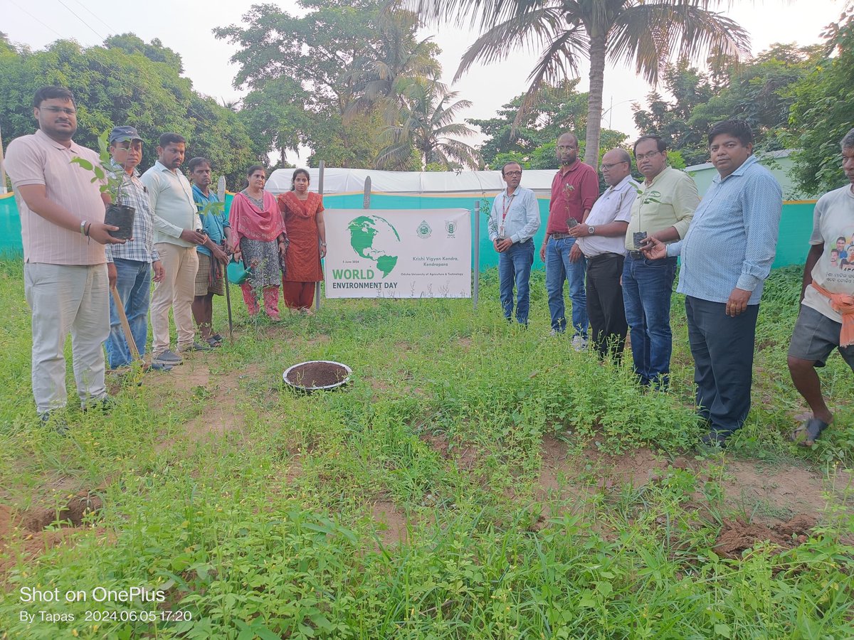 kvkkendrapara's tweet photo. Plantation of heritage plants in KVK Kendrapara campus on the occasion of celebration of #WorldEnvironmentDay‌ 
@OdishaUniversi1 @AtariKolkata @DasAurovinda @dmkendrapara @krushibibhag https://t.co/h36X3hByn5