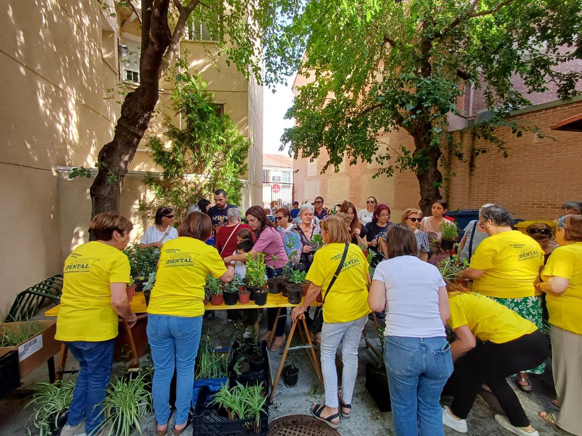 IISanse's tweet image. ¡Feliz #DíaDelMedioAmbiente! 🌻
Para celebrarlo nuestros concejales @palaciosho @juantorresga y @Forseti_22 han acompañado un año más a #ACOM en su tradicional reparto de 3.000 plantas a los vecinos y vecinas de #Sanse.
Gracias por seguir cuidando nuestro #MedioAmbiente cada día