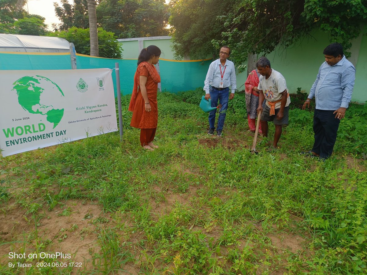 kvkkendrapara's tweet photo. Plantation of heritage plants in KVK Kendrapara campus on the occasion of celebration of #WorldEnvironmentDay‌ 
@OdishaUniversi1 @AtariKolkata @DasAurovinda @dmkendrapara @krushibibhag https://t.co/h36X3hByn5