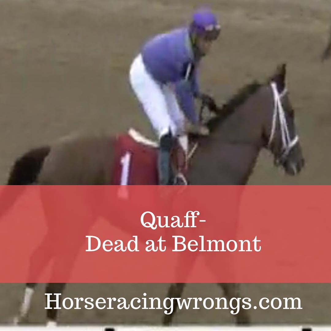 racingwrongs's tweet photo. 2018: 30 dead horses at Belmont
2019: 44 dead horses at Belmont
2020: 53 dead horses at Belmont
2021: 50 dead horses at Belmont
2022: 41 dead horses at Belmont
#EndHorseracing
#BelmontStakes
#BelmontStakes2024
#TripleCrown
#Belmont
#HorseracingKillsHorses
#BoycottHorseracing https://t.co/DMNaEjOMWs