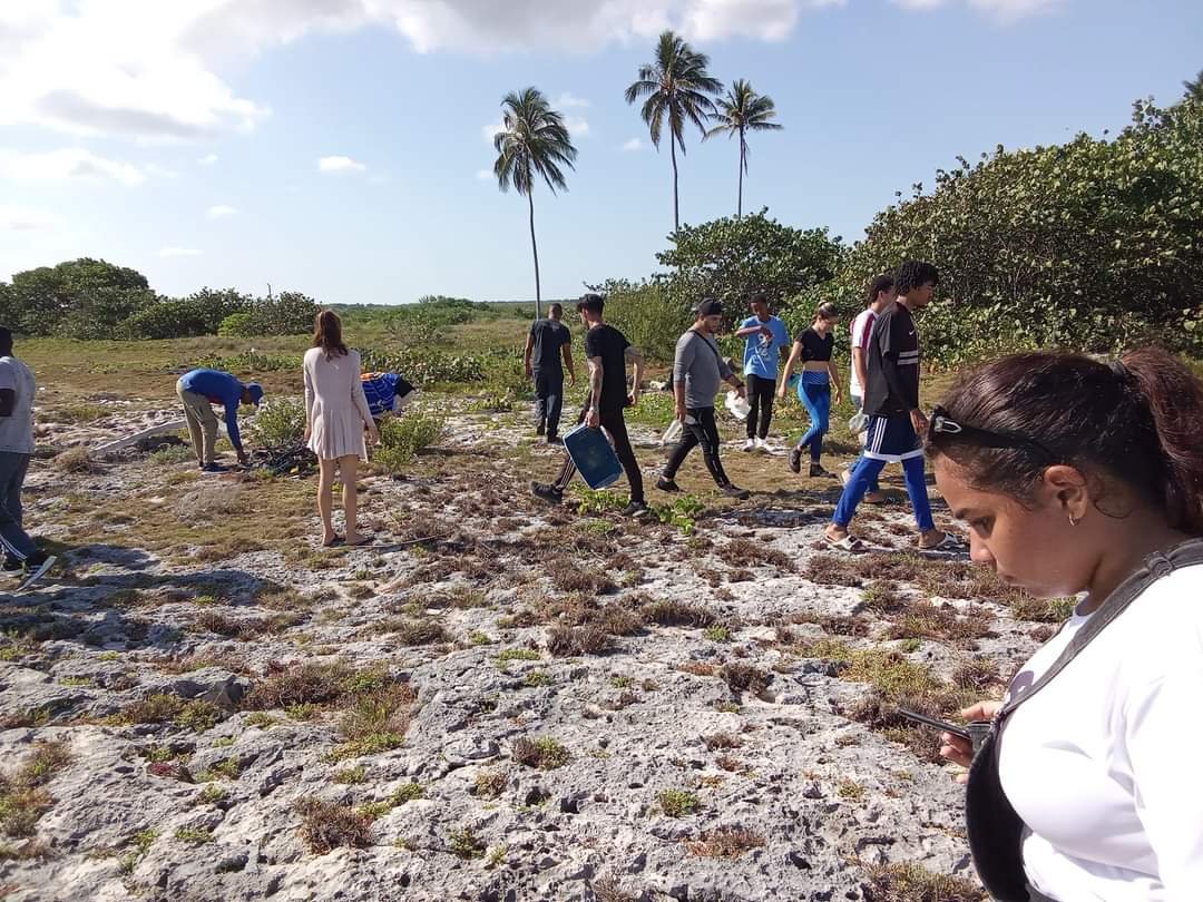 UJCdeCuba's tweet photo. Un grupo de + de 50 jóvenes matanceros realizaron en la mañana de hoy acciones de saneamiento ambiental, en la Playa "El Coral" Área Protegida de Laguna Maya, además de charlas educativas por parte de especialistas. #DiaMundialDelMedioAmbiente #ReJAC #60BTJ
#UJCdeCuba https://t.co/rxazrbSHwm
