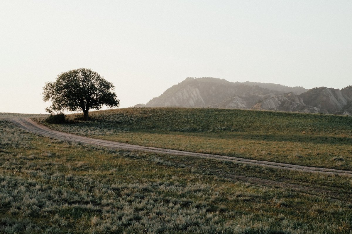 🌍Today, on World Environment Day, we once again highlight the critical need for land restoration, combatting desertification &amp; building resilience against drought. 

🌳Together we can restore our lands and protect our environment for future generations. 

#GenerationRestoration