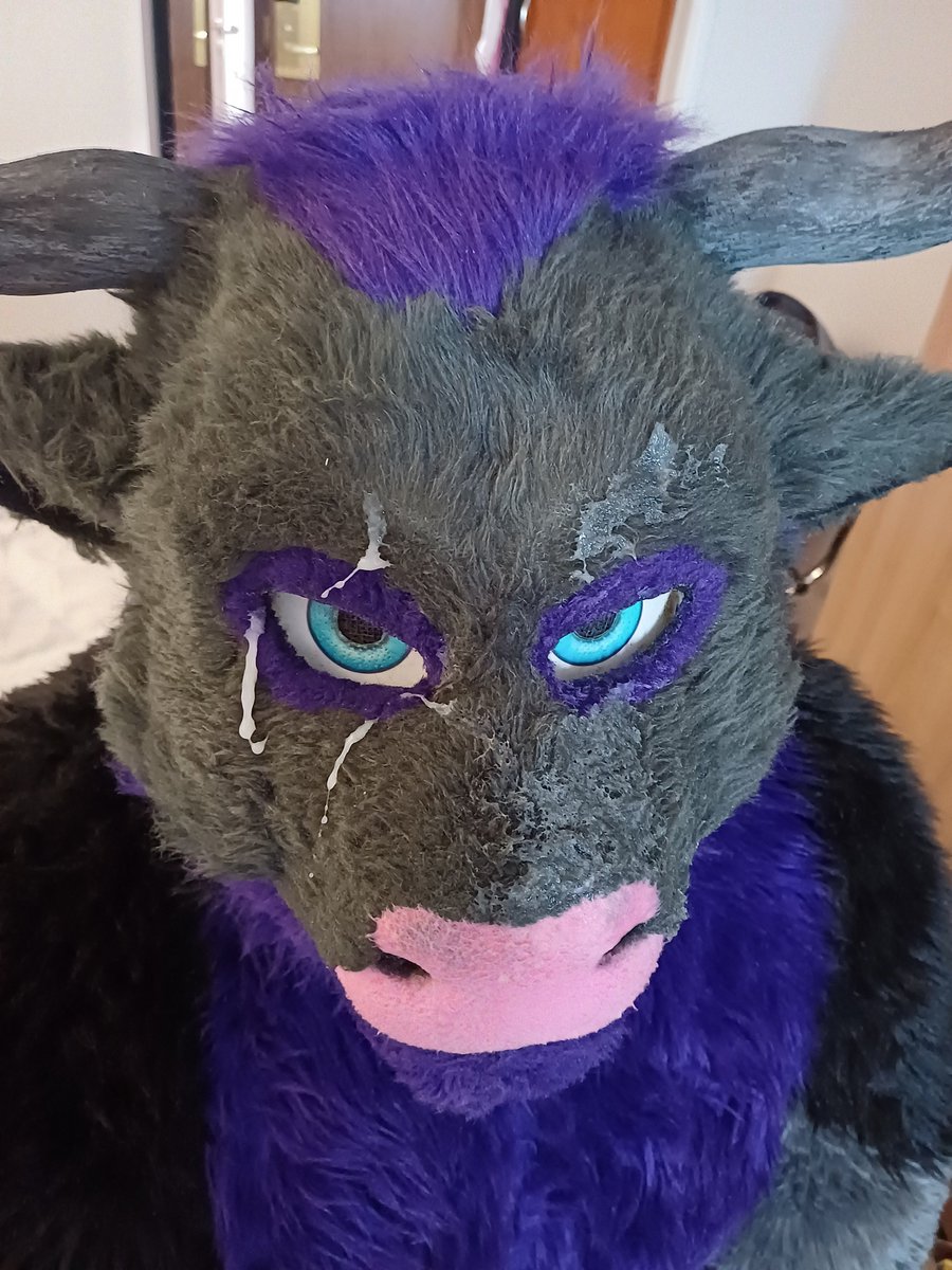 AngusBullAD's tweet photo. Thanks to all those who visited me at cfz and gave me their cocks, had a blast n great time.  
Vids to be posted in future 😏 https://t.co/uU6ETalPMV