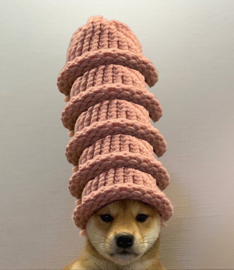 dogwifcoin's tweet photo. hat stays on

$WIF https://t.co/izKNFKGgT7