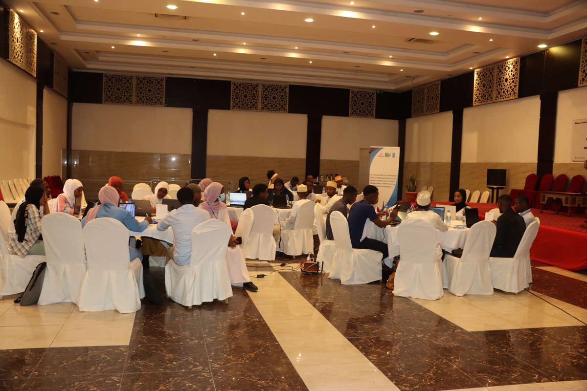 PNUD Comores tweet media