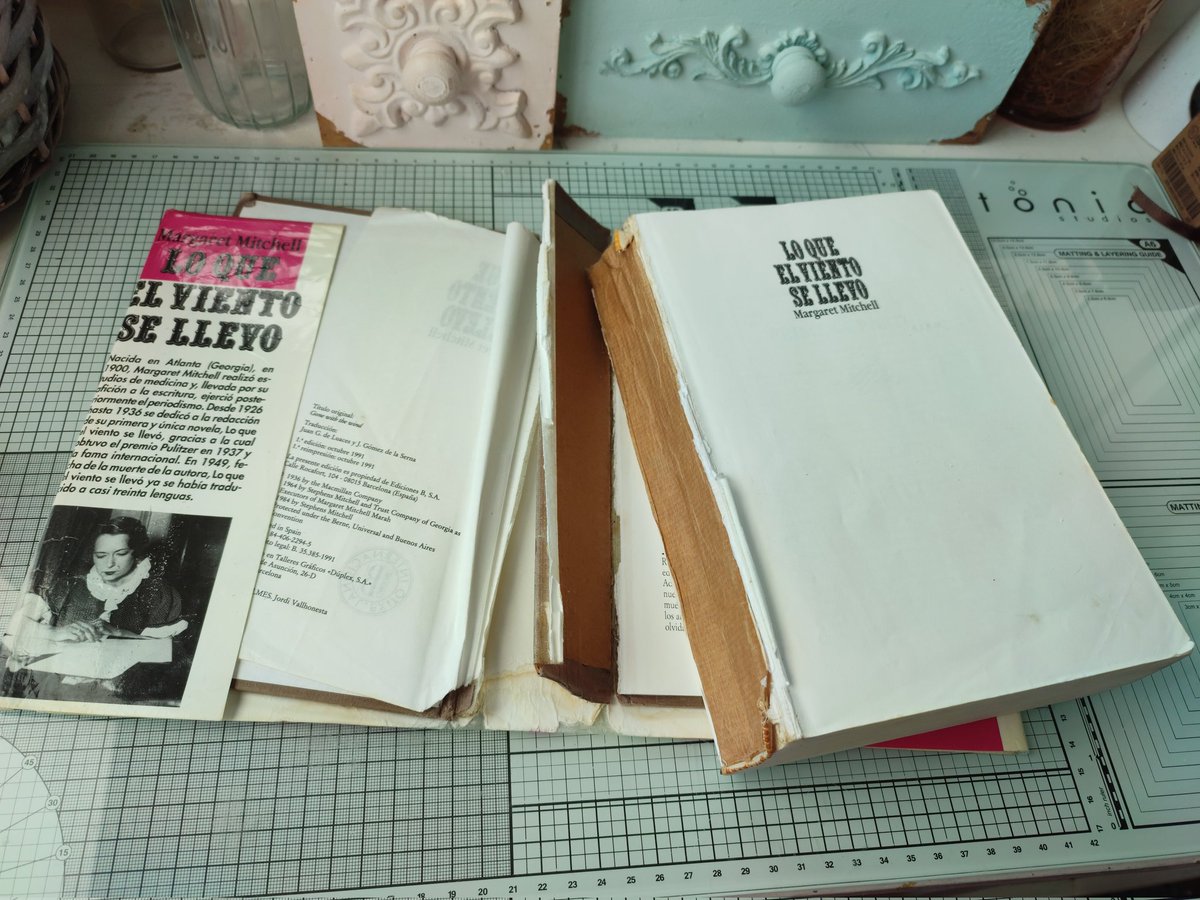 María Carbón Salas tweet media