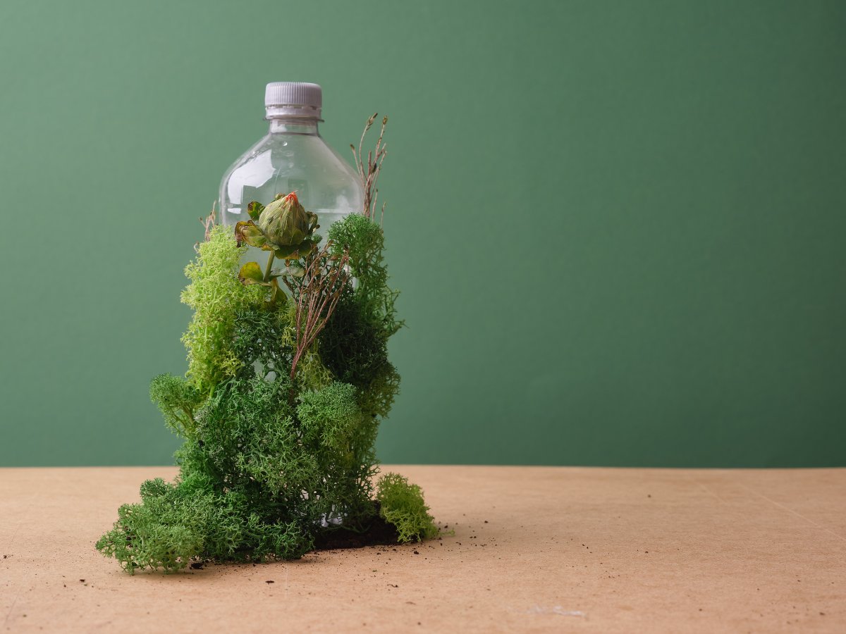 Legacoop Nazionale tweet media