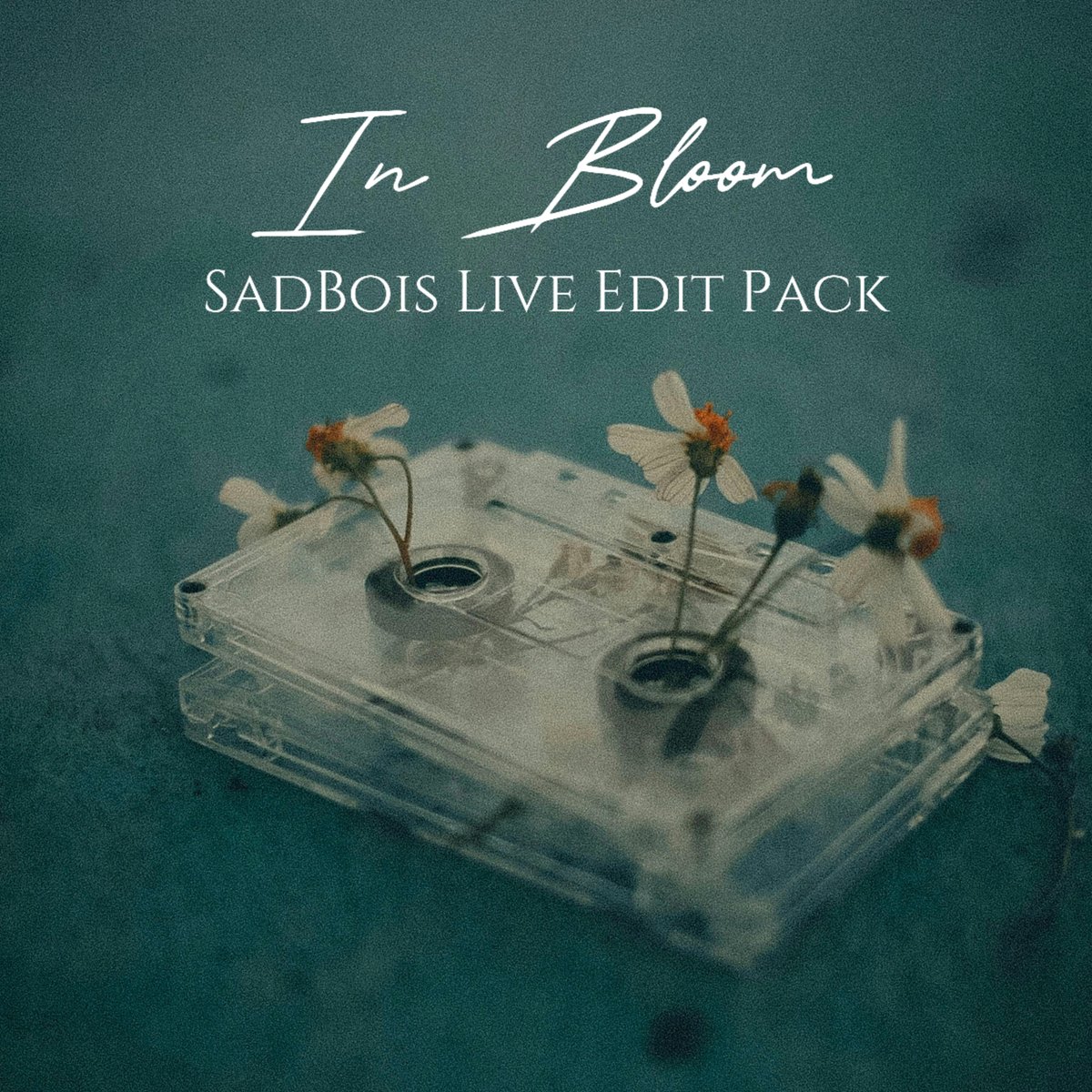 SadBois 🦋 tweet media